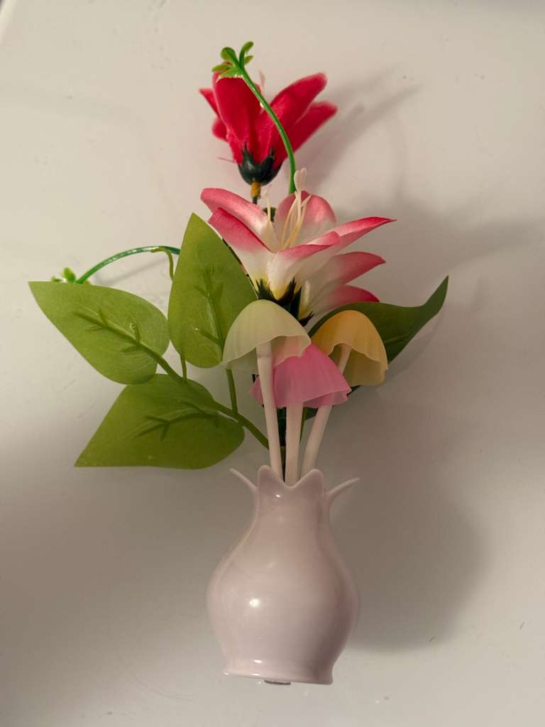 LED Mushroom Plug-In Night Light – Sensor, Colorful Glow