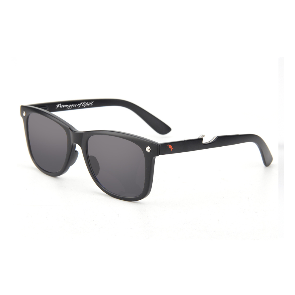 Folly Sunglasses